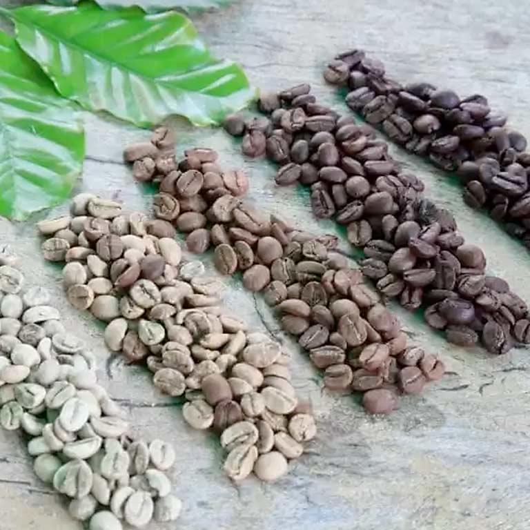 Kaffeepulver von bester Qaulität PREMO